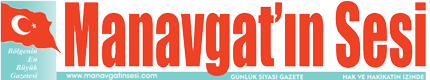 Logo Alt Etiketi