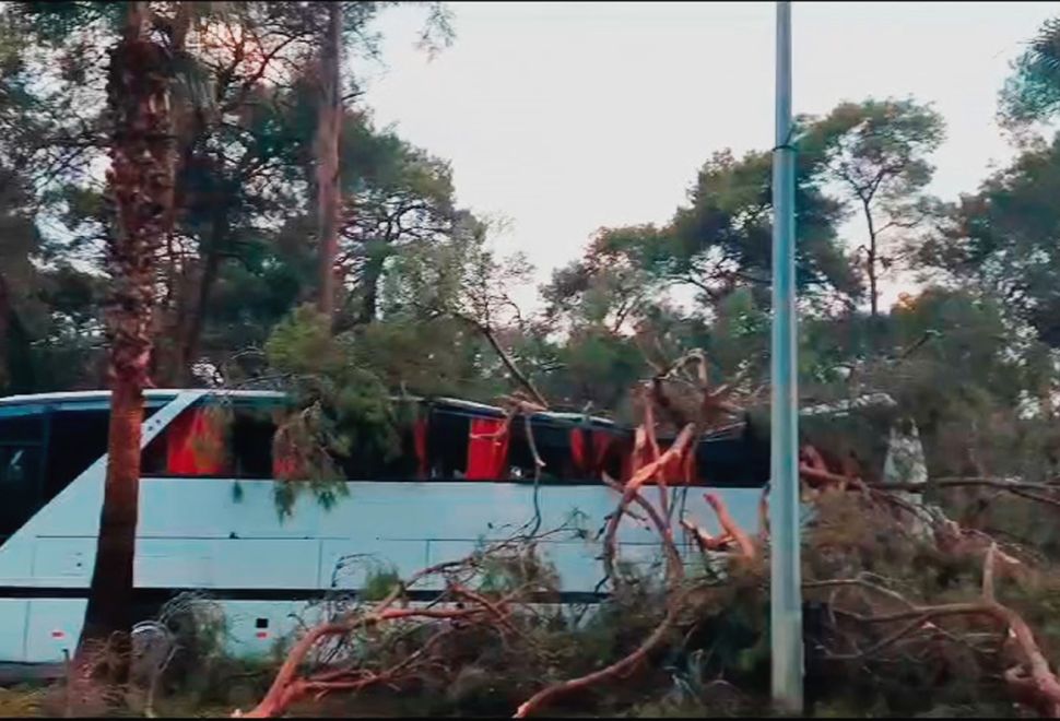 Şiddetli fırtına ağaç devirdi  7 kişi yaralandı