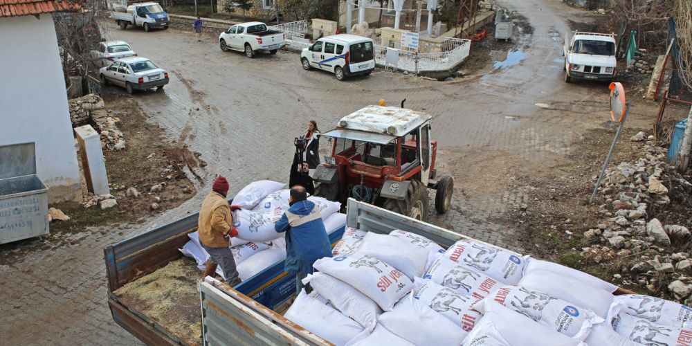 Büyükşehir üreticilere süt yemi desteğine başladı 