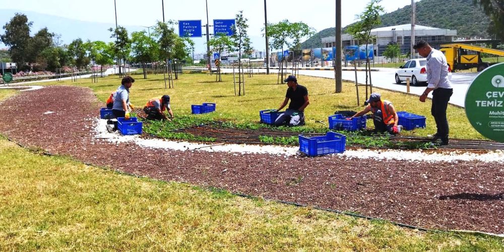 Yazlık çiçekler toprakla buluşuyor