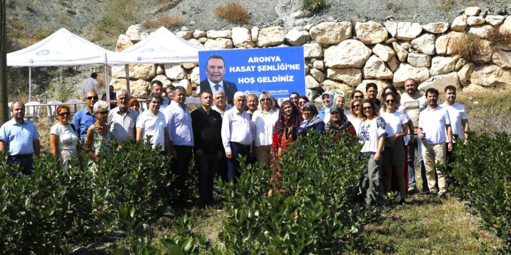 Antalya’da Aronya hasadı başladı