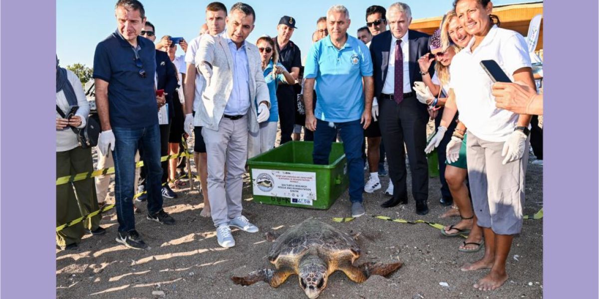 2 Deniz Kaplumbağası Doğayla Buluştu