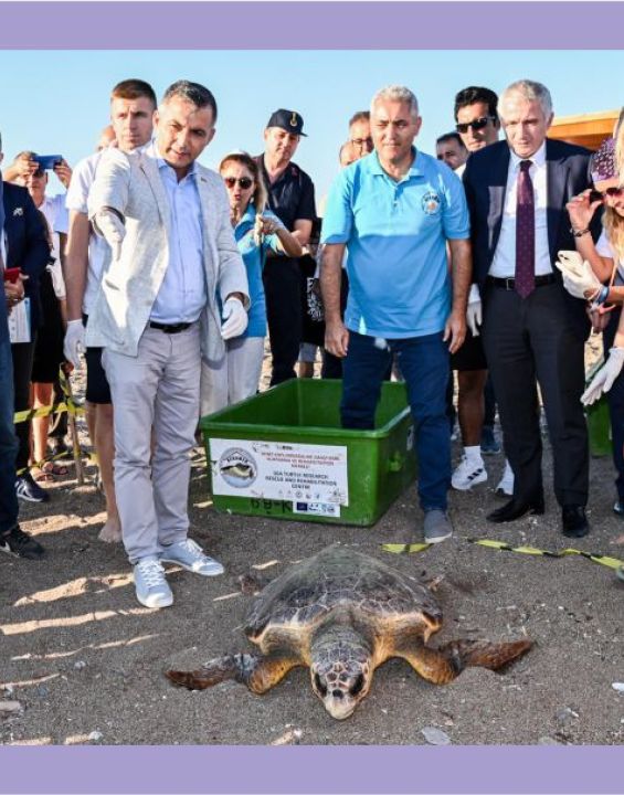 2 Deniz Kaplumbağası Doğayla Buluştu